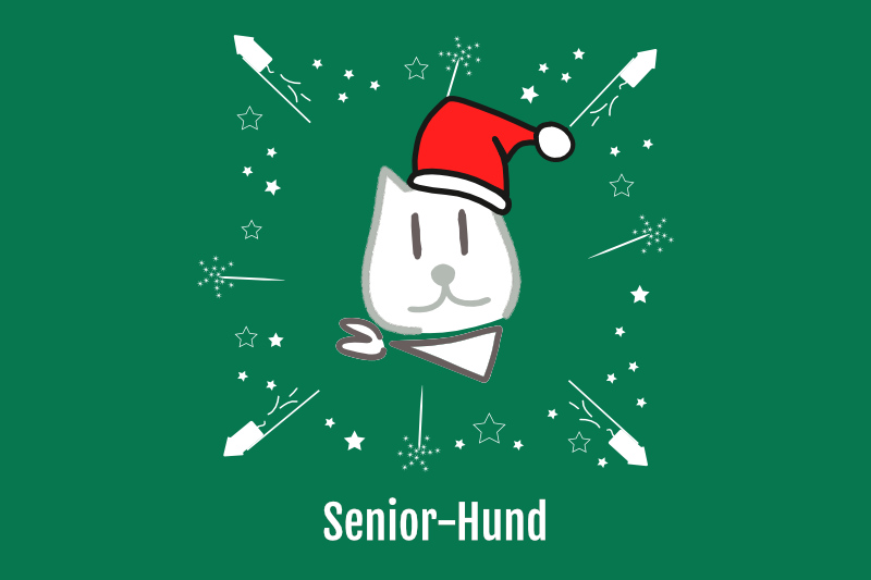 Überraschungspaket X-Mas Senior Hund