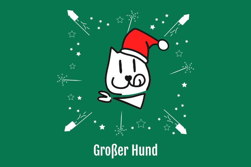 Überraschungspaket X-Mas großer Hund