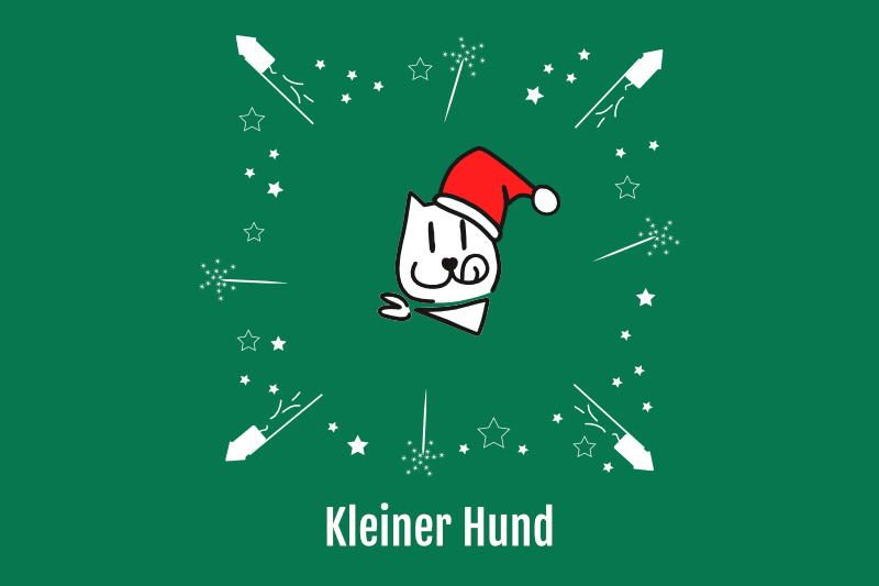 Überraschungspaket X-Mas kleiner Hund