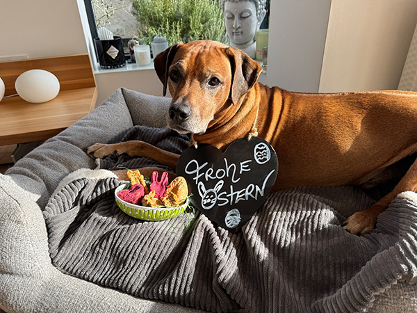 Überraschungspaket Ostern – Bild 11